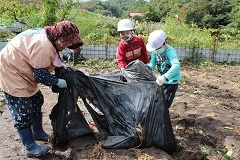 マルチの片付け