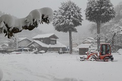 雪の写真