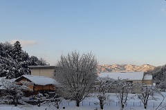 赤屋小の雪