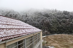 屋根の様子