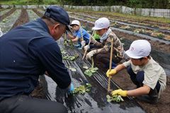 いもうえ