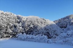 雪の風景