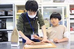 しんりん８