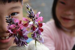 もり３