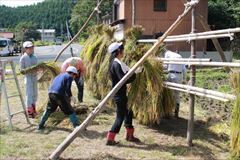 いね８
