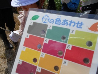 431