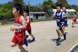 陸上大会の競技の様子