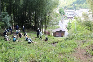 学校林と校舎