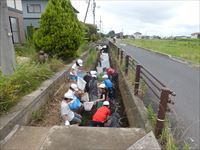 川の生き物調査