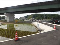 初めての道１