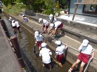 川の生き物調査３