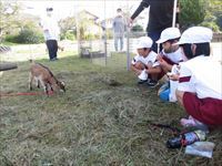 動物とのふれあい３