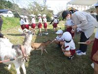 動物とのふれあい８