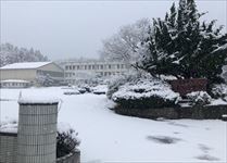 雪の登校３