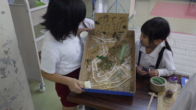 umakukoro