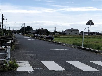 登校中の写真