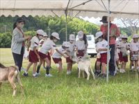 生き物とのふれあい４