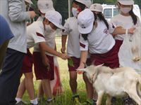 生き物とのふれあい７