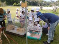 生き物とのふれあい９