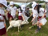 生き物とのふれあい１２