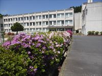 学校風景１０