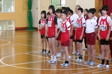 ５・６年選手