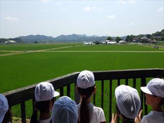 nogiheiya