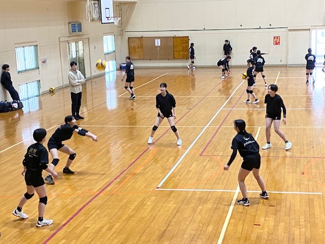 bu11