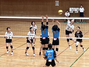 bu1
