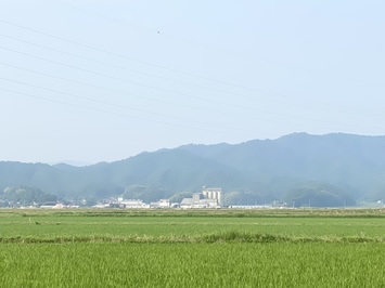 natu1