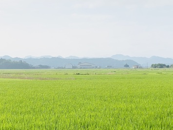 natu