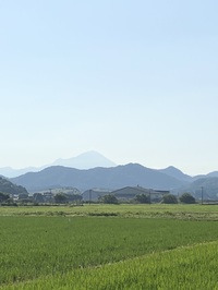 natu