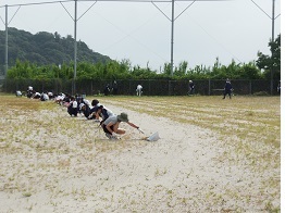 校庭の草取り