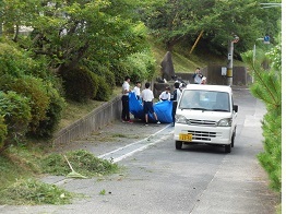 三中坂草集め