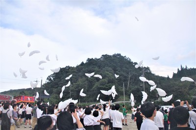 tudoi11