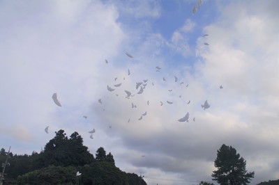 tudoi13