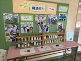 R03椿油作り掲示１