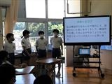R03３６年白椿１
