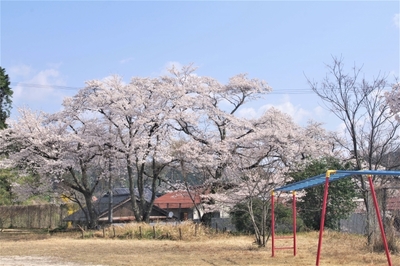 sgyousikimae1