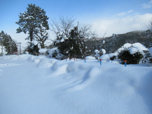 ooyuki