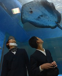 アクアス