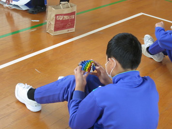 テーダマツ2
