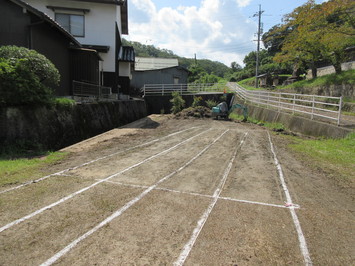 草取り