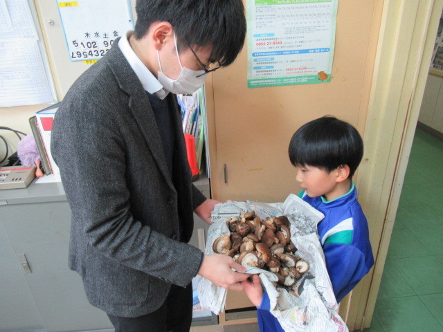 春見つけ