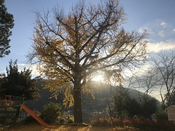 学校の風景です