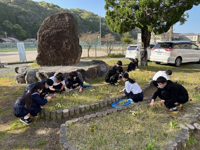 花壇の草取り