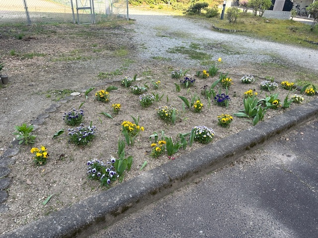 春の花たち