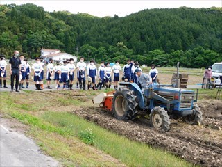 球根堀の様子3