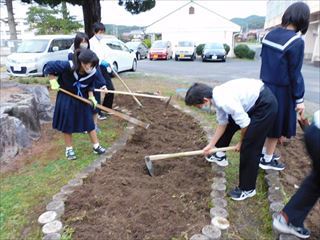 球根植えの様子2