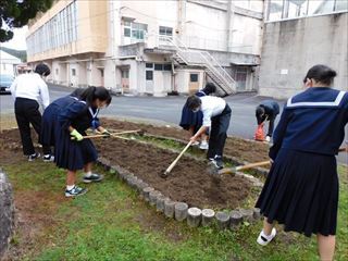 球根植えの様子3